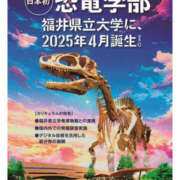 ヒメ日記 2024/12/20 18:44 投稿 なぎさ 美熟女倶楽部Hip's 春日部店