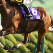 ヒメ日記 2025/04/27 21:24 投稿 なぎさ 美熟女倶楽部Hip's 春日部店