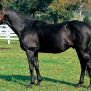 ヒメ日記 2025/04/29 13:34 投稿 なぎさ 美熟女倶楽部Hip's 春日部店