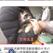 ヒメ日記 2025/08/05 12:54 投稿 なぎさ 美熟女倶楽部Hip's 春日部店