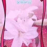 ヒメ日記 2025/03/27 17:32 投稿 らん 熟女の風俗最終章 宇都宮店