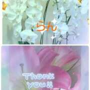 ヒメ日記 2025/04/06 00:02 投稿 らん 熟女の風俗最終章 宇都宮店