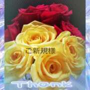 ヒメ日記 2025/05/27 18:41 投稿 らん 熟女の風俗最終章 宇都宮店