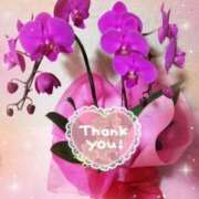 ヒメ日記 2025/06/21 18:41 投稿 らん 熟女の風俗最終章 宇都宮店