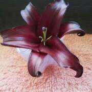 ヒメ日記 2025/08/01 22:35 投稿 らん 熟女の風俗最終章 宇都宮店