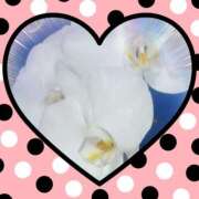 ヒメ日記 2025/08/10 13:31 投稿 らん 熟女の風俗最終章 宇都宮店