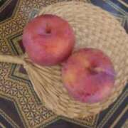 ヒメ日記 2025/08/13 20:51 投稿 らん 熟女の風俗最終章 宇都宮店