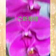 ヒメ日記 2025/08/16 19:51 投稿 らん 熟女の風俗最終章 宇都宮店