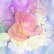 ヒメ日記 2025/09/08 17:21 投稿 らん 熟女の風俗最終章 宇都宮店