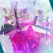 ヒメ日記 2025/09/10 19:22 投稿 らん 熟女の風俗最終章 宇都宮店