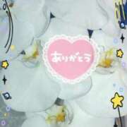 ヒメ日記 2025/09/12 16:32 投稿 らん 熟女の風俗最終章 宇都宮店