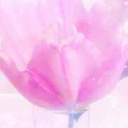 ヒメ日記 2025/09/15 18:51 投稿 らん 熟女の風俗最終章 宇都宮店