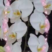 ヒメ日記 2025/09/17 15:12 投稿 らん 熟女の風俗最終章 宇都宮店