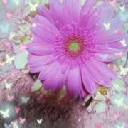 ヒメ日記 2025/10/04 17:11 投稿 らん 熟女の風俗最終章 宇都宮店