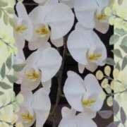 ヒメ日記 2025/10/10 18:51 投稿 らん 熟女の風俗最終章 宇都宮店