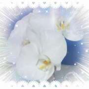 ヒメ日記 2025/10/12 17:21 投稿 らん 熟女の風俗最終章 宇都宮店