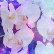 ヒメ日記 2025/10/18 18:03 投稿 らん 熟女の風俗最終章 宇都宮店