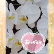 ヒメ日記 2025/10/18 23:51 投稿 らん 熟女の風俗最終章 宇都宮店