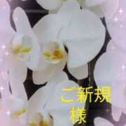 ヒメ日記 2025/10/22 13:21 投稿 らん 熟女の風俗最終章 宇都宮店