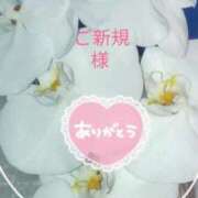 ヒメ日記 2025/11/11 18:41 投稿 らん 熟女の風俗最終章 宇都宮店