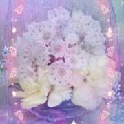 ヒメ日記 2025/12/05 18:33 投稿 らん 熟女の風俗最終章 宇都宮店