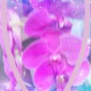 ヒメ日記 2025/12/09 23:41 投稿 らん 熟女の風俗最終章 宇都宮店