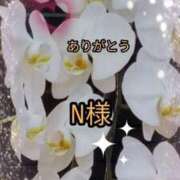 ヒメ日記 2025/12/11 16:11 投稿 らん 熟女の風俗最終章 宇都宮店