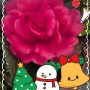 ヒメ日記 2025/12/12 13:31 投稿 らん 熟女の風俗最終章 宇都宮店