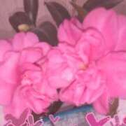 ヒメ日記 2025/12/14 23:21 投稿 らん 熟女の風俗最終章 宇都宮店