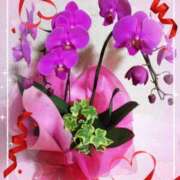 ヒメ日記 2025/12/21 08:21 投稿 らん 熟女の風俗最終章 宇都宮店