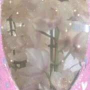 ヒメ日記 2025/12/26 00:01 投稿 らん 熟女の風俗最終章 宇都宮店