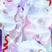 ヒメ日記 2025/12/31 08:01 投稿 らん 熟女の風俗最終章 宇都宮店