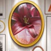 ヒメ日記 2026/01/03 06:41 投稿 らん 熟女の風俗最終章 宇都宮店