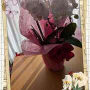 ヒメ日記 2026/01/03 16:22 投稿 らん 熟女の風俗最終章 宇都宮店