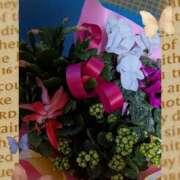 ヒメ日記 2026/01/04 22:11 投稿 らん 熟女の風俗最終章 宇都宮店