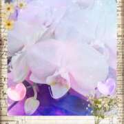 ヒメ日記 2026/01/05 07:41 投稿 らん 熟女の風俗最終章 宇都宮店