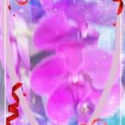 ヒメ日記 2026/01/05 23:24 投稿 らん 熟女の風俗最終章 宇都宮店