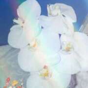 ヒメ日記 2026/01/09 16:41 投稿 らん 熟女の風俗最終章 宇都宮店