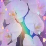 ヒメ日記 2026/01/11 23:21 投稿 らん 熟女の風俗最終章 宇都宮店