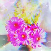 ヒメ日記 2026/01/12 22:51 投稿 らん 熟女の風俗最終章 宇都宮店