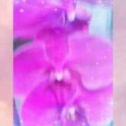 ヒメ日記 2026/01/14 06:21 投稿 らん 熟女の風俗最終章 宇都宮店