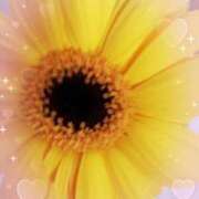 ヒメ日記 2026/01/17 08:11 投稿 らん 熟女の風俗最終章 宇都宮店