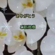 ヒメ日記 2026/01/17 23:01 投稿 らん 熟女の風俗最終章 宇都宮店