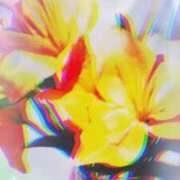 ヒメ日記 2026/01/20 05:11 投稿 らん 熟女の風俗最終章 宇都宮店