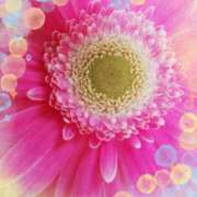 ヒメ日記 2026/01/21 07:11 投稿 らん 熟女の風俗最終章 宇都宮店