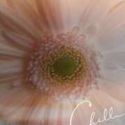 ヒメ日記 2026/01/21 23:21 投稿 らん 熟女の風俗最終章 宇都宮店