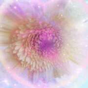 ヒメ日記 2026/01/23 19:21 投稿 らん 熟女の風俗最終章 宇都宮店