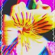 ヒメ日記 2026/01/24 06:21 投稿 らん 熟女の風俗最終章 宇都宮店