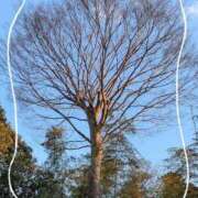 ヒメ日記 2026/01/25 05:12 投稿 らん 熟女の風俗最終章 宇都宮店