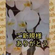 ヒメ日記 2026/01/25 22:11 投稿 らん 熟女の風俗最終章 宇都宮店